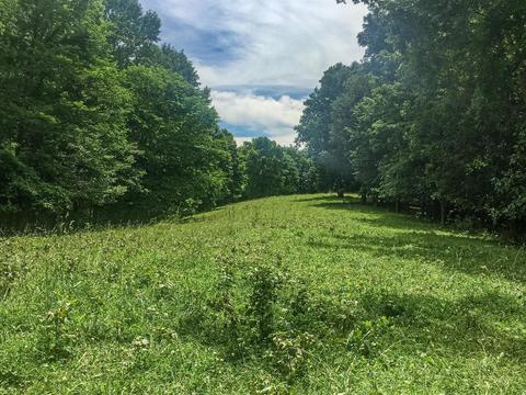 267 Weakley Loop, Ethridge, TN 38456 photo 24