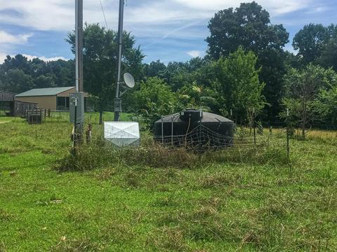 267 Weakley Loop, Ethridge, TN 38456 photo 11