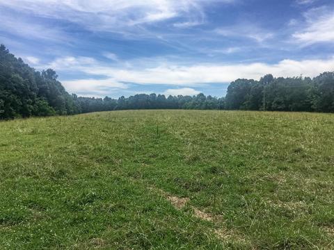 267 Weakley Loop, Ethridge, TN 38456 photo 2