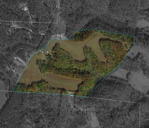 267 Weakley Loop, Ethridge, TN 38456 photo 1