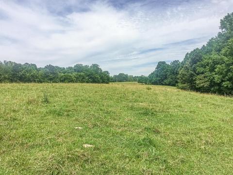 267 Weakley Loop, Ethridge, TN 38456 photo 3