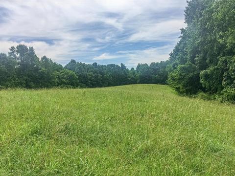 267 Weakley Loop, Ethridge, TN 38456 photo 22