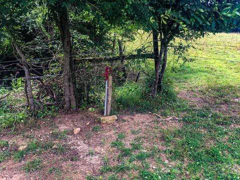 267 Weakley Loop, Ethridge, TN 38456 photo 29