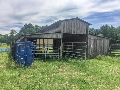 267 Weakley Loop, Ethridge, TN 38456 photo 14