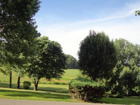 8617 Bethlehem Rd, Springfield, TN 37172 photo 10
