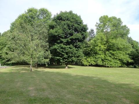 8617 Bethlehem Rd, Springfield, TN 37172 photo 18