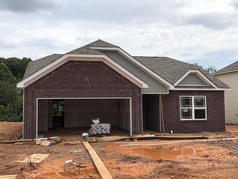 1042 Berra Dr, Springfield, TN 37172 photo 1