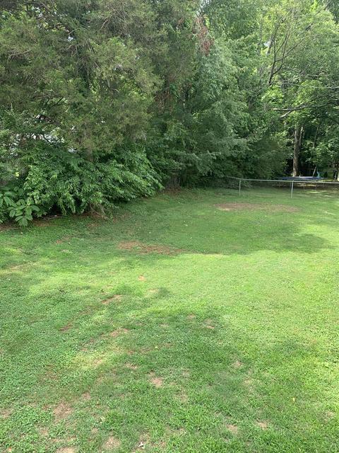 103 Meadow Dr, Dickson, TN 37055 photo 12