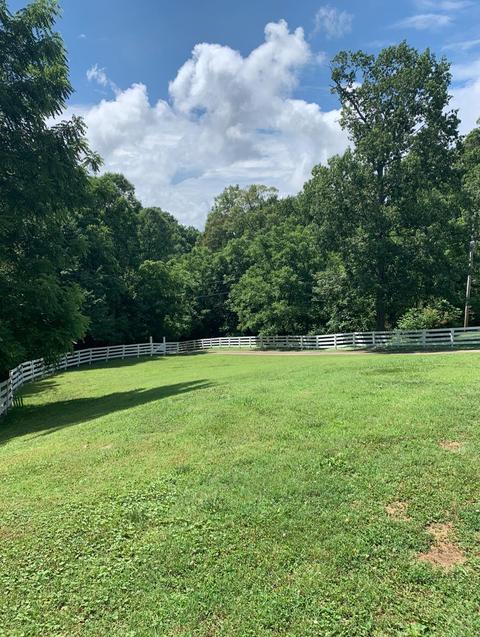 116 Annette Dr, Dickson, TN 37055 photo 23