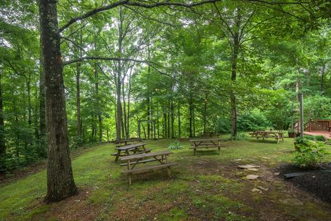 959 E Piney Rd, Dickson, TN 37055 photo 27
