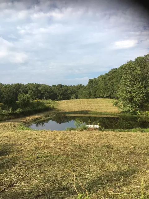 947 Yoder Rd, Altamont, TN 37301 photo 5