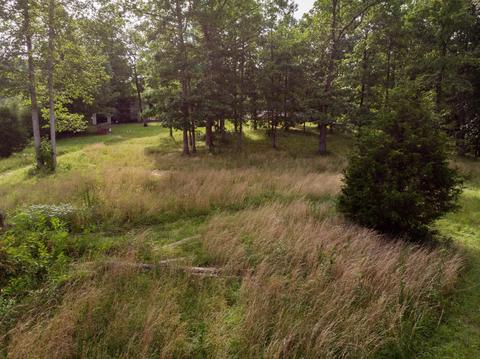 1208 Pack Rd, White Bluff, TN 37187 photo 28