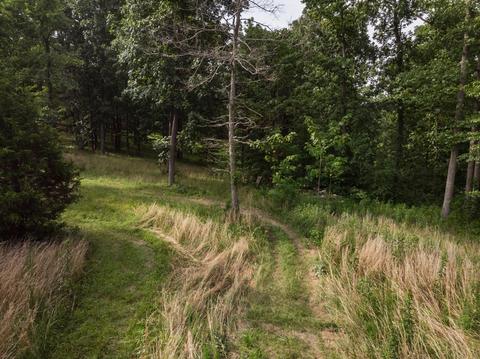 1208 Pack Rd, White Bluff, TN 37187 photo 27