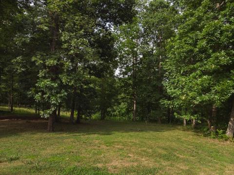 1208 Pack Rd, White Bluff, TN 37187 photo 25