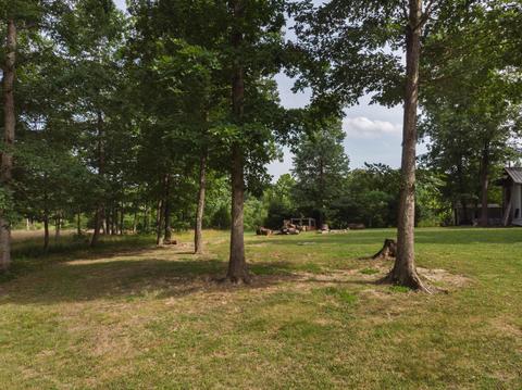 1208 Pack Rd, White Bluff, TN 37187 photo 24