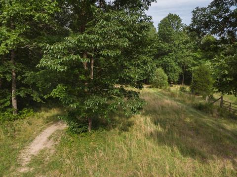 1208 Pack Rd, White Bluff, TN 37187 photo 26