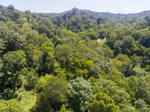 435 Griffs Hollow Ln, Bethpage, TN 37022 photo 9