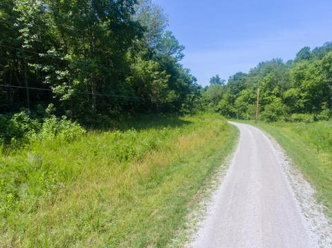 435 Griffs Hollow Ln, Bethpage, TN 37022 photo 17