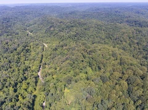 435 Griffs Hollow Ln, Bethpage, TN 37022 photo 15