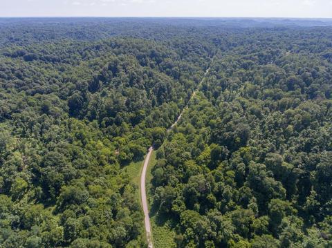435 Griffs Hollow Ln, Bethpage, TN 37022 photo 1