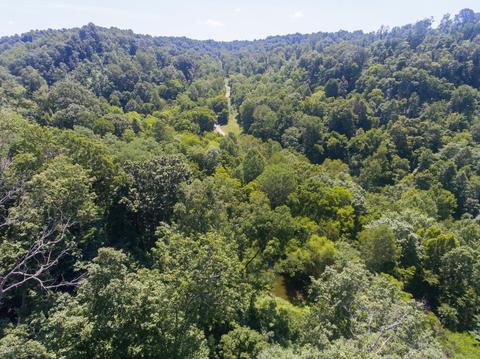 435 Griffs Hollow Ln, Bethpage, TN 37022 photo 10