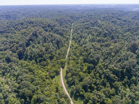 435 Griffs Hollow Ln, Bethpage, TN 37022 photo 2