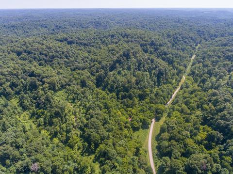 435 Griffs Hollow Ln, Bethpage, TN 37022 photo 3