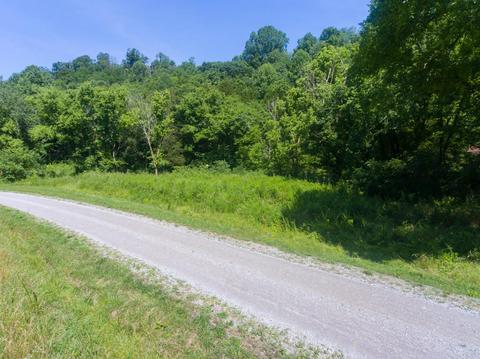 435 Griffs Hollow Ln, Bethpage, TN 37022 photo 16