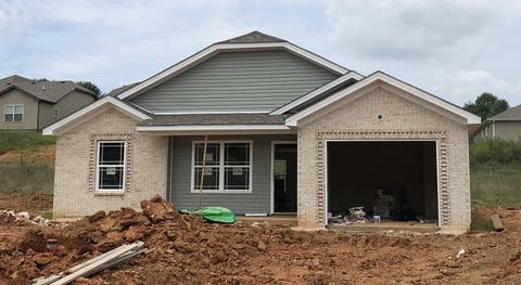 1045 Berra Dr, Springfield, TN 37172 photo 1