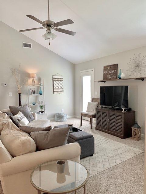 1002 Chimalis Dr, Spring Hill, TN 37174 photo 8