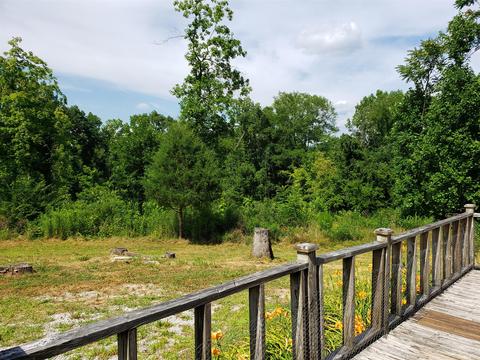 217 Trinity Hill Rd, Pulaski, TN 38478 photo 4