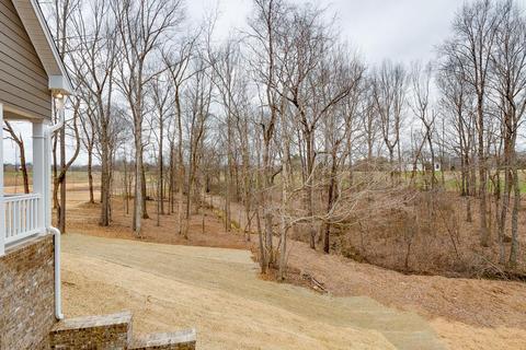 2539 Frank Abernathy Rd, Greenbrier, TN 37073 photo 10