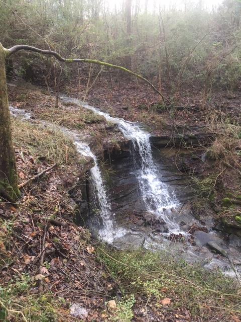 739 Ardmore Hwy, Taft, TN 38488 photo 29