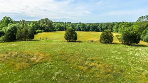 441 Eno Rd, Dickson, TN 37055 photo 30