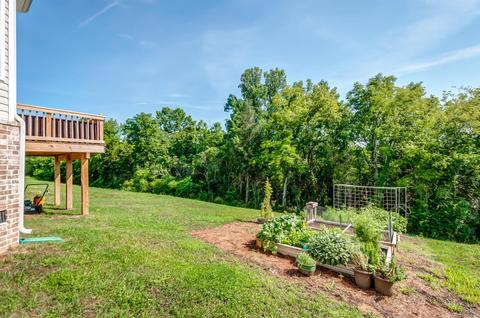 1044 Solomon Ln, Spring Hill, TN 37174 photo 28