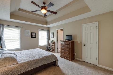 209 Brandywine Ln, Springfield, TN 37172 photo 12