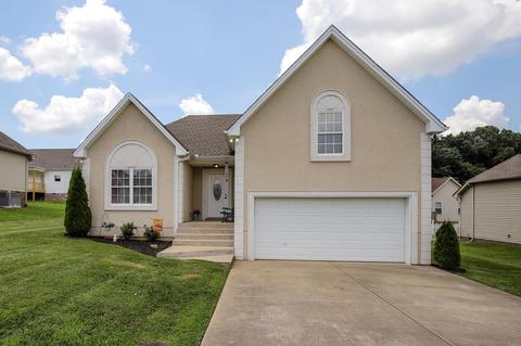 209 Brandywine Ln, Springfield, TN 37172 photo 1