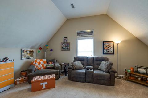 209 Brandywine Ln, Springfield, TN 37172 photo 18