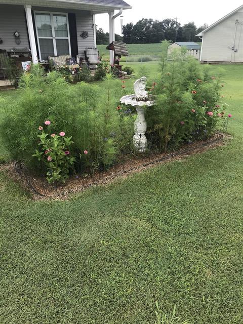322 Spring St, Loretto, TN 38469 photo 4