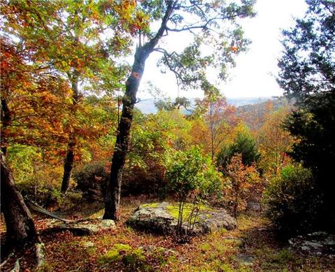 294 Jackson Point Rd, Sewanee, TN 37375 photo 4