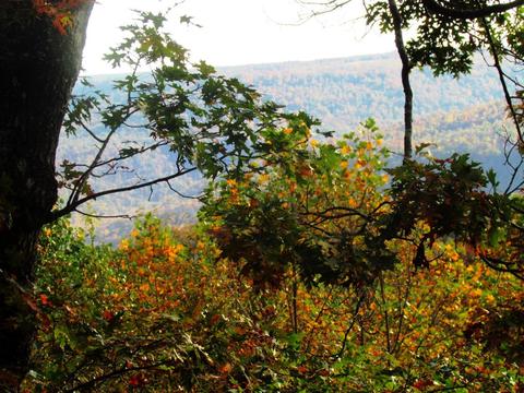 294 Jackson Point Rd, Sewanee, TN 37375 photo 7