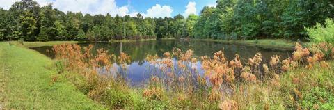 294 Jackson Point Rd, Sewanee, TN 37375 photo 27