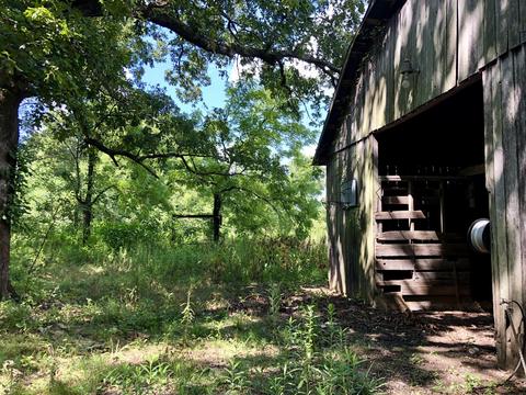 286 Beartown Rd, Loretto, TN 38469 photo 8