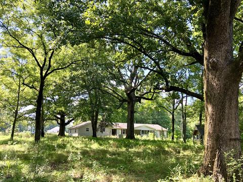286 Beartown Rd, Loretto, TN 38469 photo 1