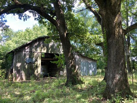 286 Beartown Rd, Loretto, TN 38469 photo 10