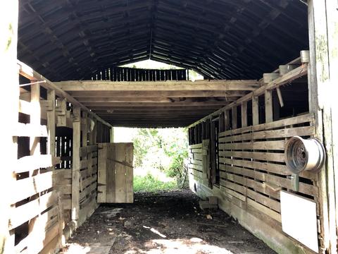 286 Beartown Rd, Loretto, TN 38469 photo 9