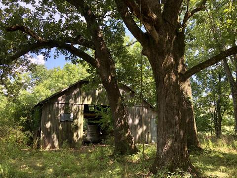 286 Beartown Rd, Loretto, TN 38469 photo 7