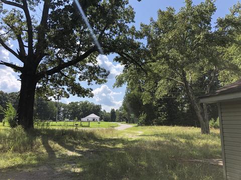 286 Beartown Rd, Loretto, TN 38469 photo 12