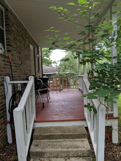103 Nall Ave, Centerville, TN 37033 photo 7