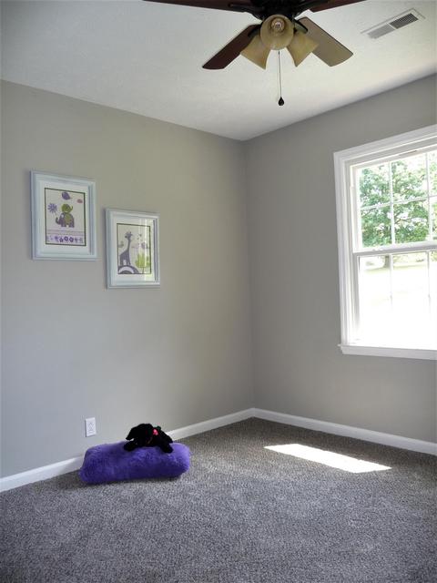3512 Armstrong Rd, Springfield, TN 37172 photo 12
